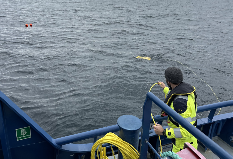 US Offshore Working At Sea